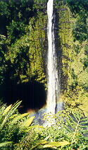 Akaka Falls with rainbow