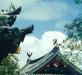 the temple roof