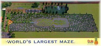 postcard of the maze