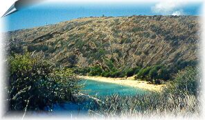 Hanauma Bay overlook