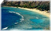 Hanauma Bay reef