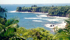 coastline near Hilo