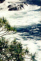 rocky coastline