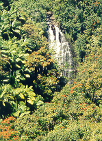 waterfall near Hilo