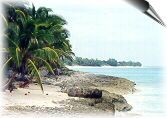 the ocean from Elbow Cay