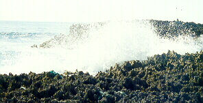 the crashing waves