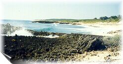 rocky beach