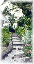 steps and flowers