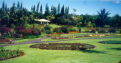 annual garden and the lookout