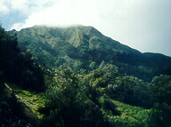 east of the Pali Lookout