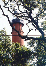 Ponce DeLeon thru the trees