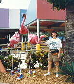 Sea World plastic mingos and me