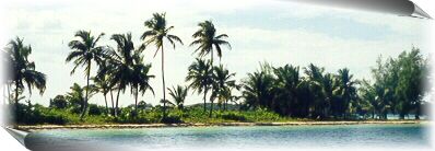 Tahiti Beach