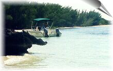 parked at Tilloo Beach