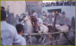 Desencerro dos Toiros