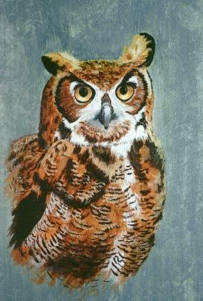 Great Horned Owl