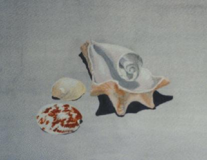 Shell # 1