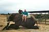 Disembarking after an elephant safari