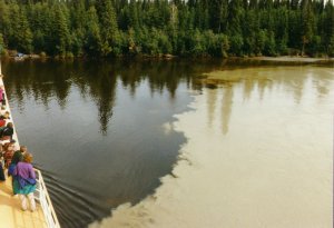 chena_tanana_river_300x205.jpg