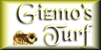 Gizmo's Header