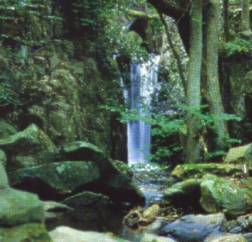 Dondale waterfall