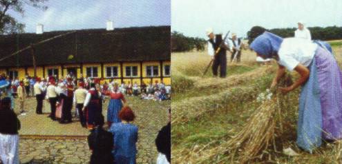 Melstedgord - the agriculture museum