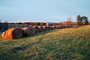 Manassas Farm and Old Stone House