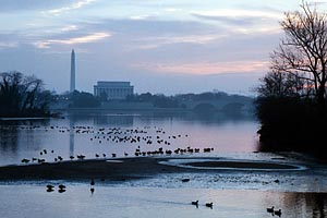 Ducks and Monuments