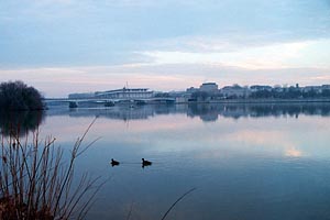 Kennedy Center and Ducks