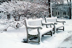 National Cathedral Snowy Benches