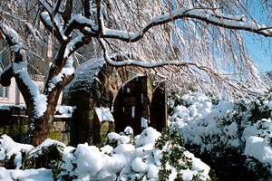 National Cathedral Garden