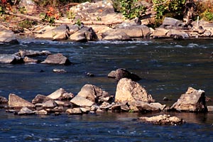 Rocks in the Current