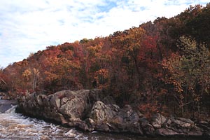 Maryland Shore in Fall Color