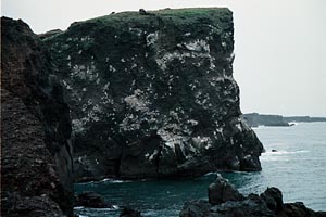 Reykjanes Cliffs