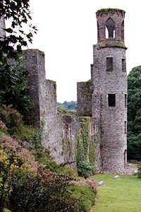 Blarney Castle Tower