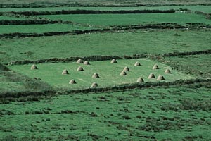 Beehive Huts or Alien Mounds?