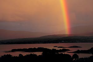 Kerry Golden Rainbow