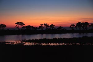 Sunset Over the Marsh