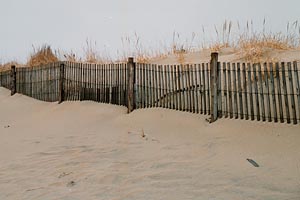 Sand Dune