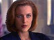 scully37