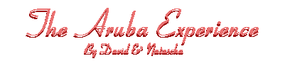 Visit David and Natacha's Aruba Experience!