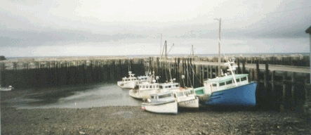 The Centreville wharf