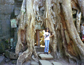 C17 - Ta Prohm Tree Trunk