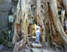 C17 - Ta Prohm Tree Trunk