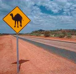 The Track is long and straight; the only road from Adelaide to Darwin.