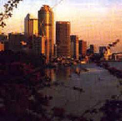 brisbane.gif - 50.6 K