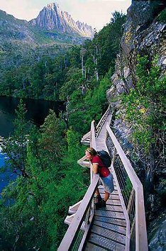 cradlemountain_walkways.jpg - 40.5 K