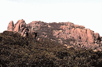 mt_buffalo.gif - 59.6 K