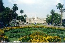 Giardini de Plaza de Mayo