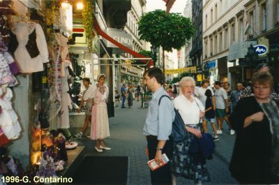 [Ponte delle Catene]